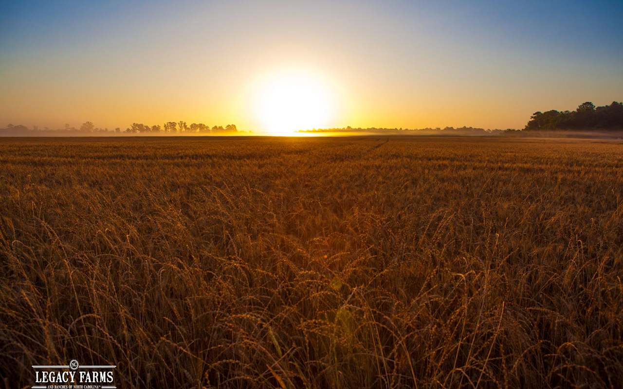 North Carolina’s Best Farm Stays and Dude Ranches Blog Legacy Farms