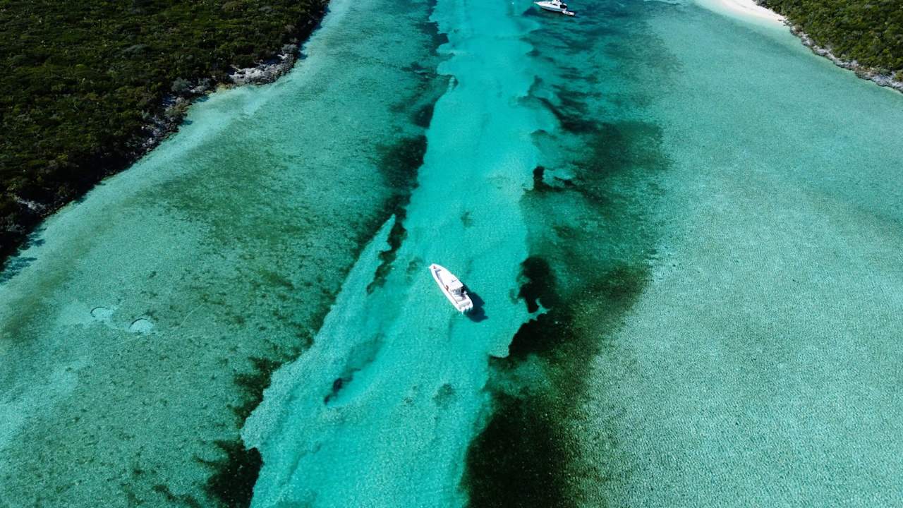 Roberts Cay Private Island