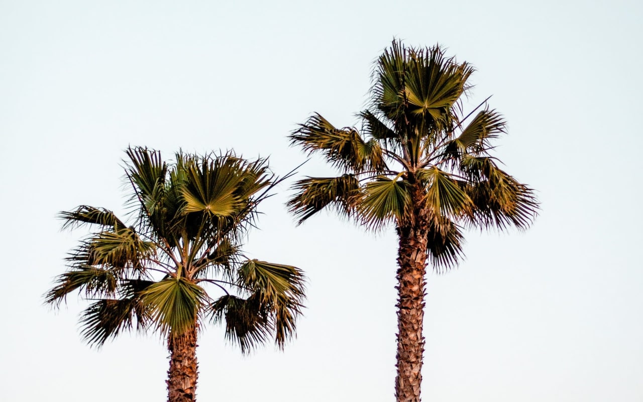 The Pithers Group Odessa Real Estate Agents & Realtors Near Me