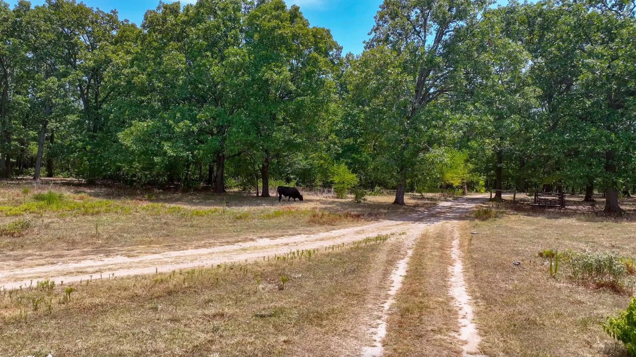 Camp Creek Ranch in Broken Bow, Oklahoma