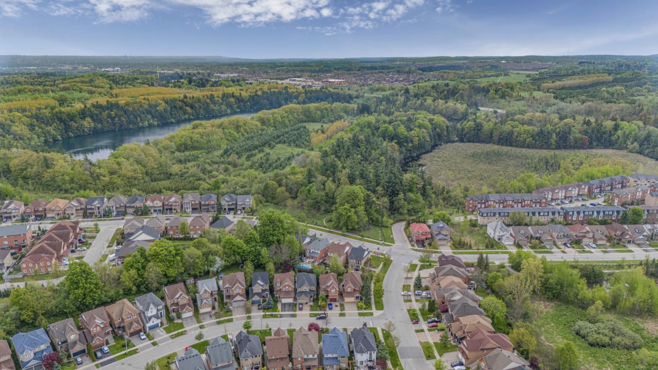 31 English Oak Oak Ridges