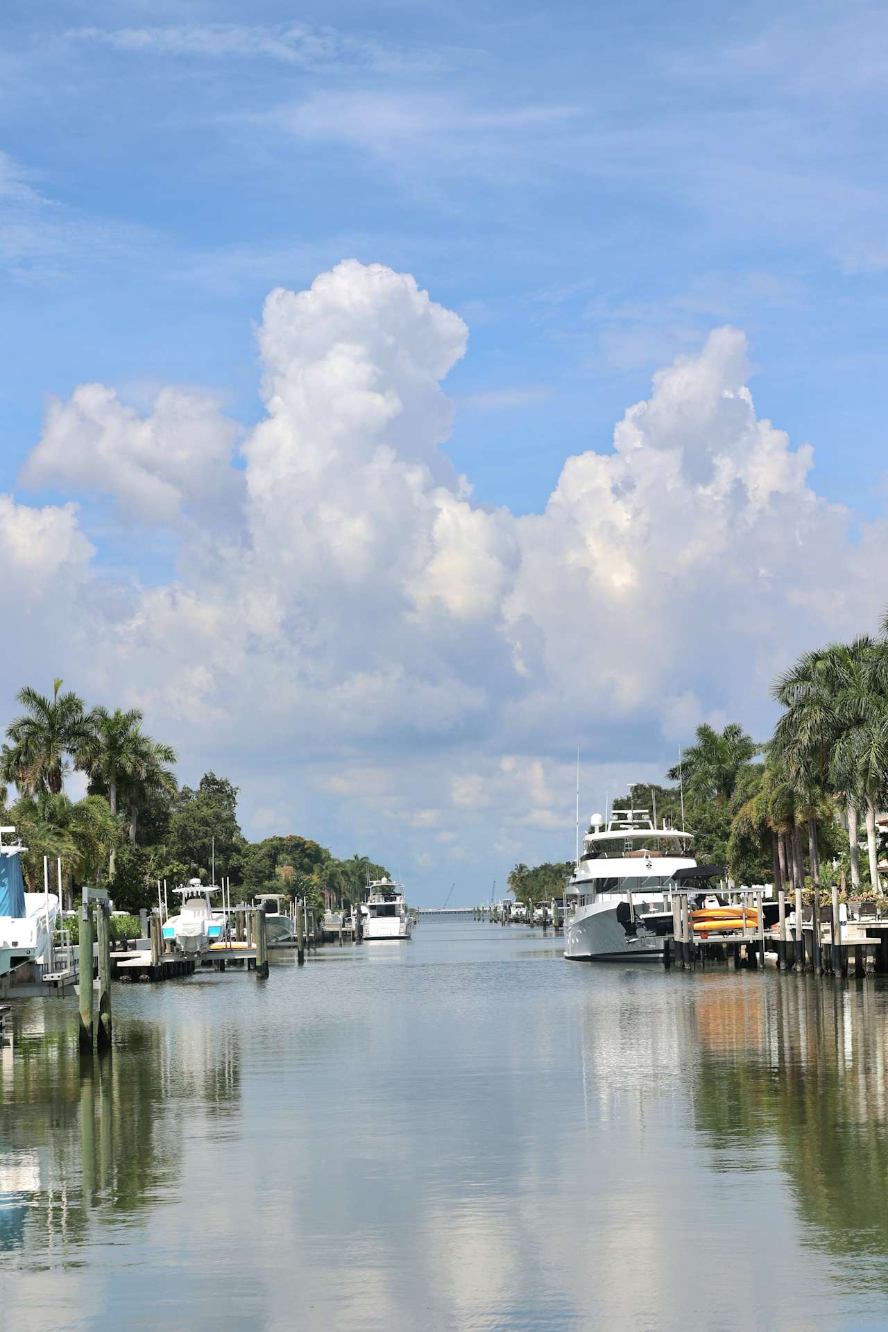 Tampa Luxury Real Estate Team The Sails Team