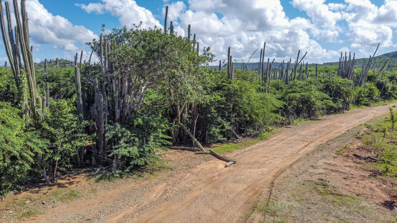 Property land Bonaire