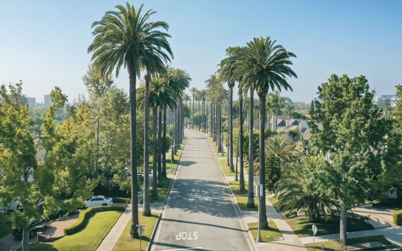 What to Expect from Beverly Hills Real Estate this Year Blog Rochelle Maize