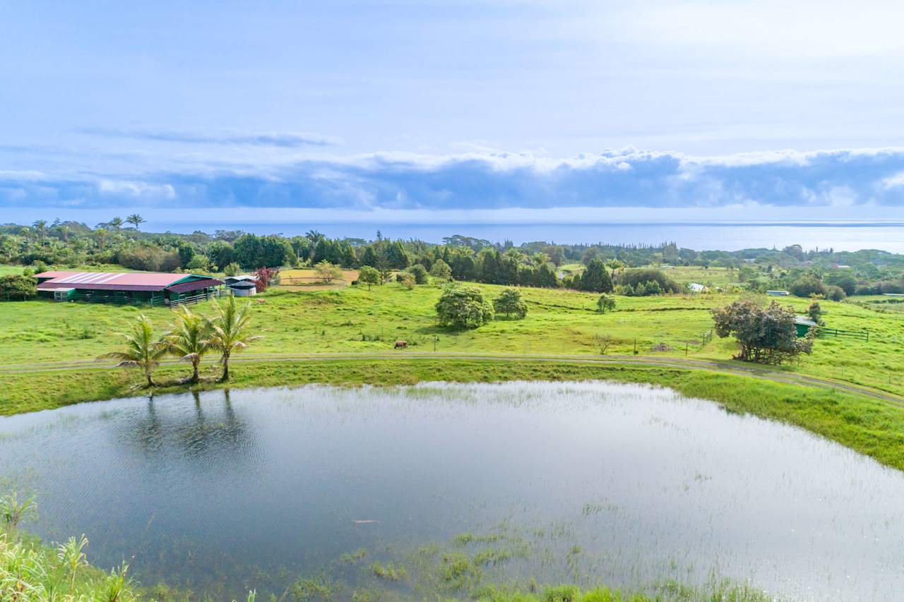 Hakalau Ranch