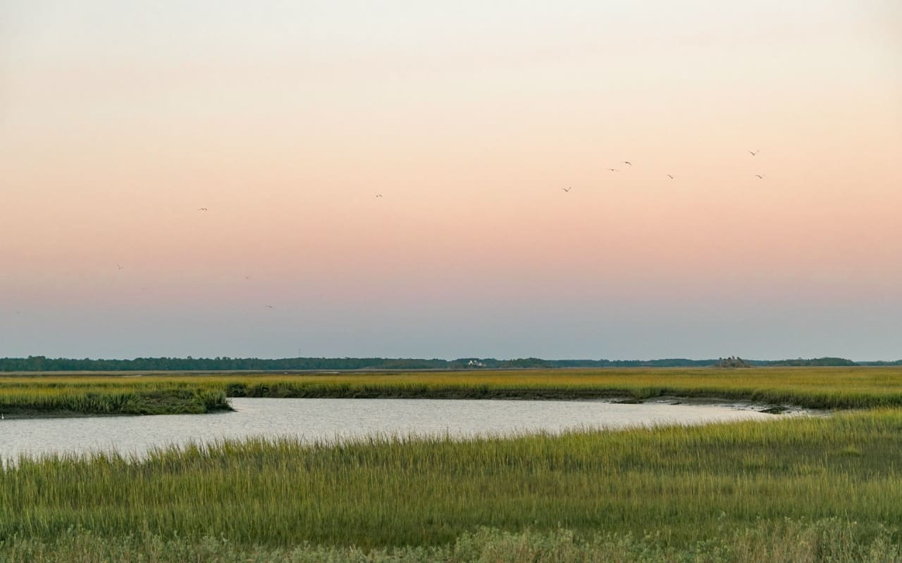 Folly Field