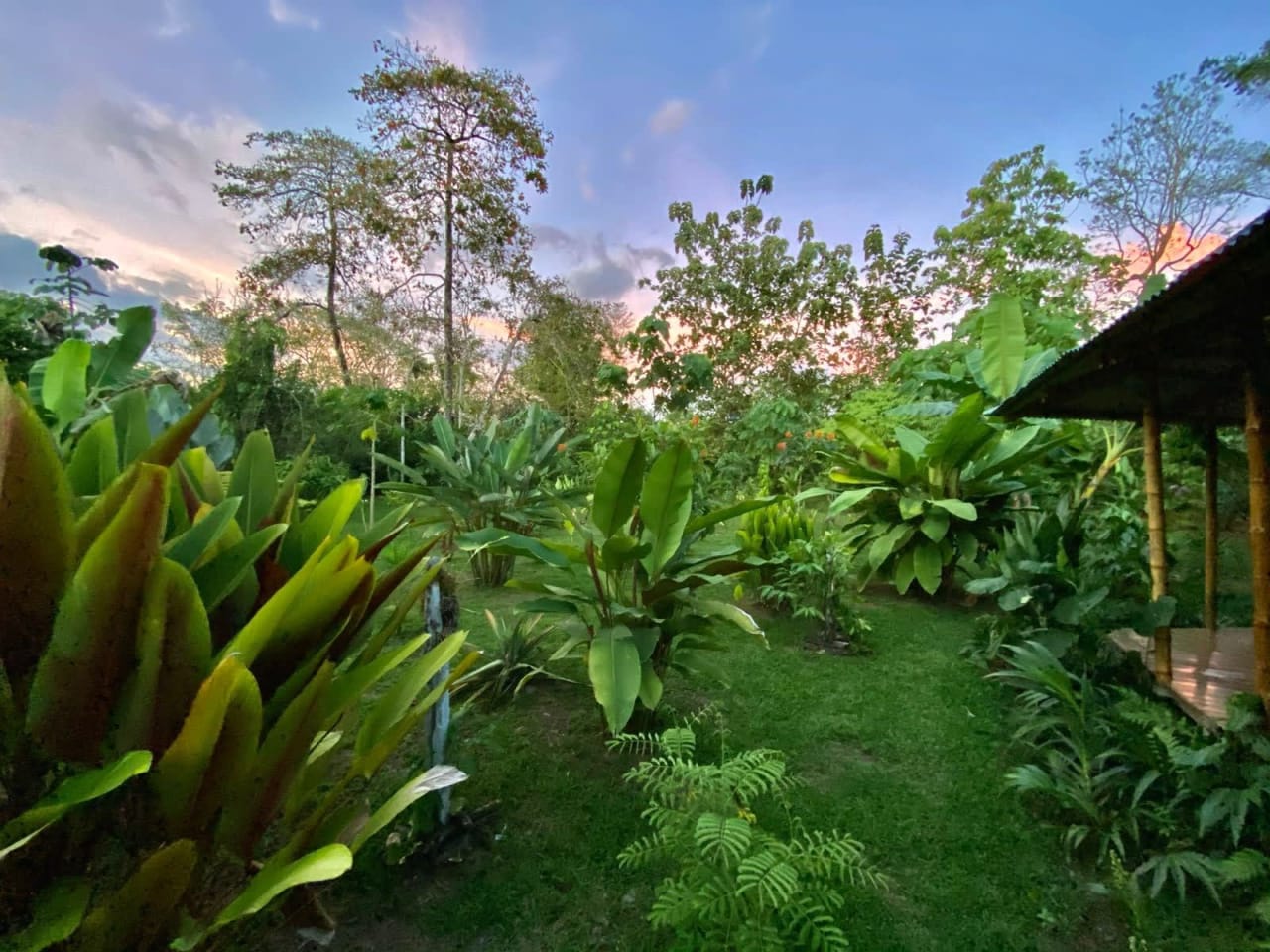 La Cotinga - 48 Hectares of Pristine Biodiverse Land