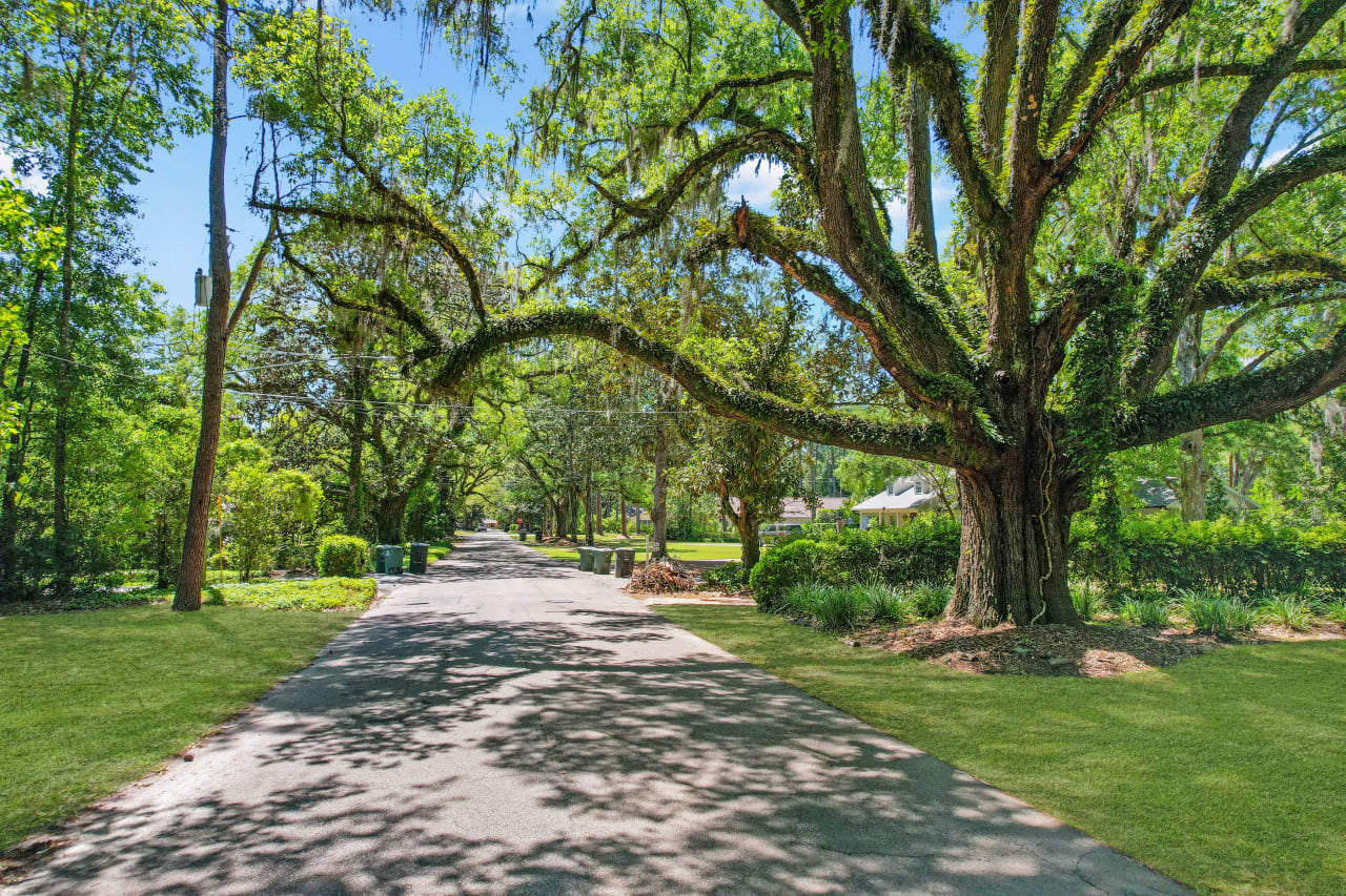 Live Oak Plantation - Piedmont