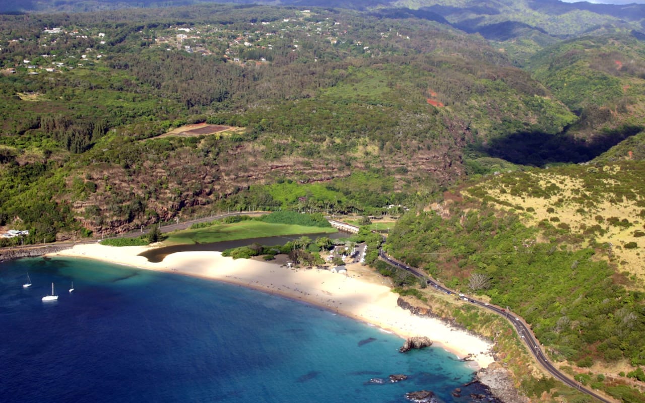 Gallery Juliana Simone Honolulu Real Estate Agent