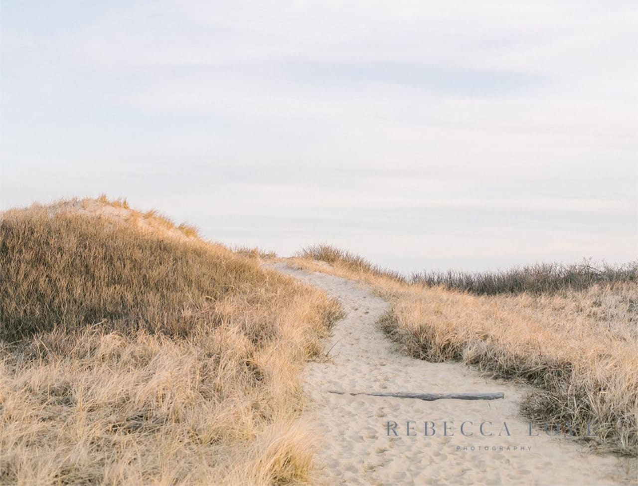 Discovering the Walking Paths of Nantucket