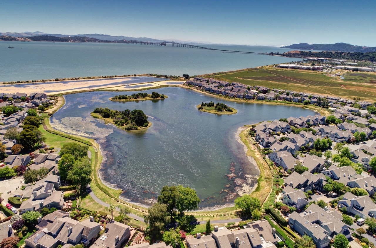 Vacation at Home on the Marin Bayshore