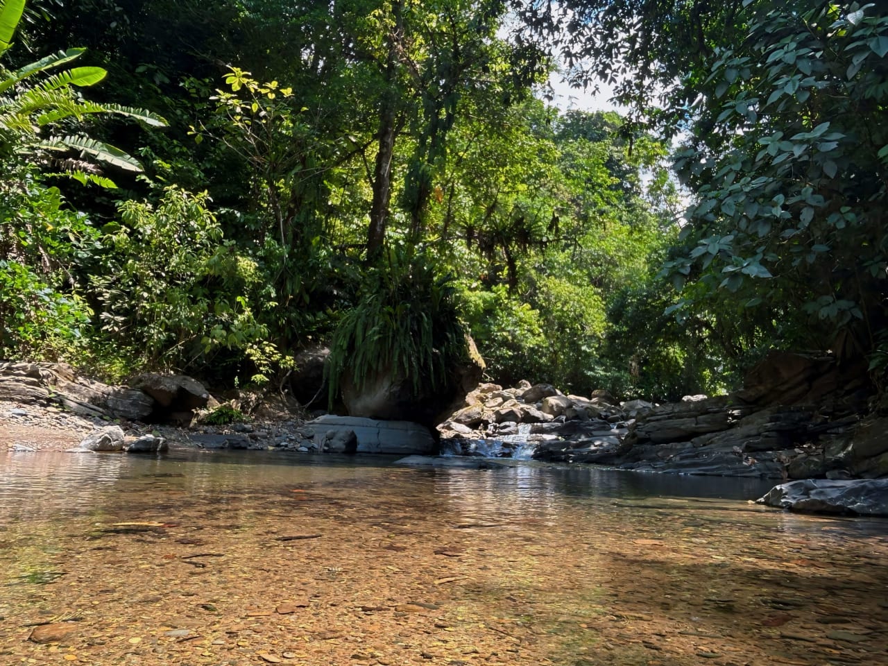 Finca Cerro del Tigre!   Over 20 Acres of Primary Forest and  Waterfalls. 