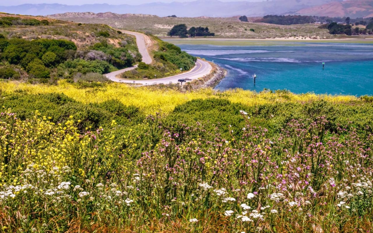 Things to Do in Bodega Bay