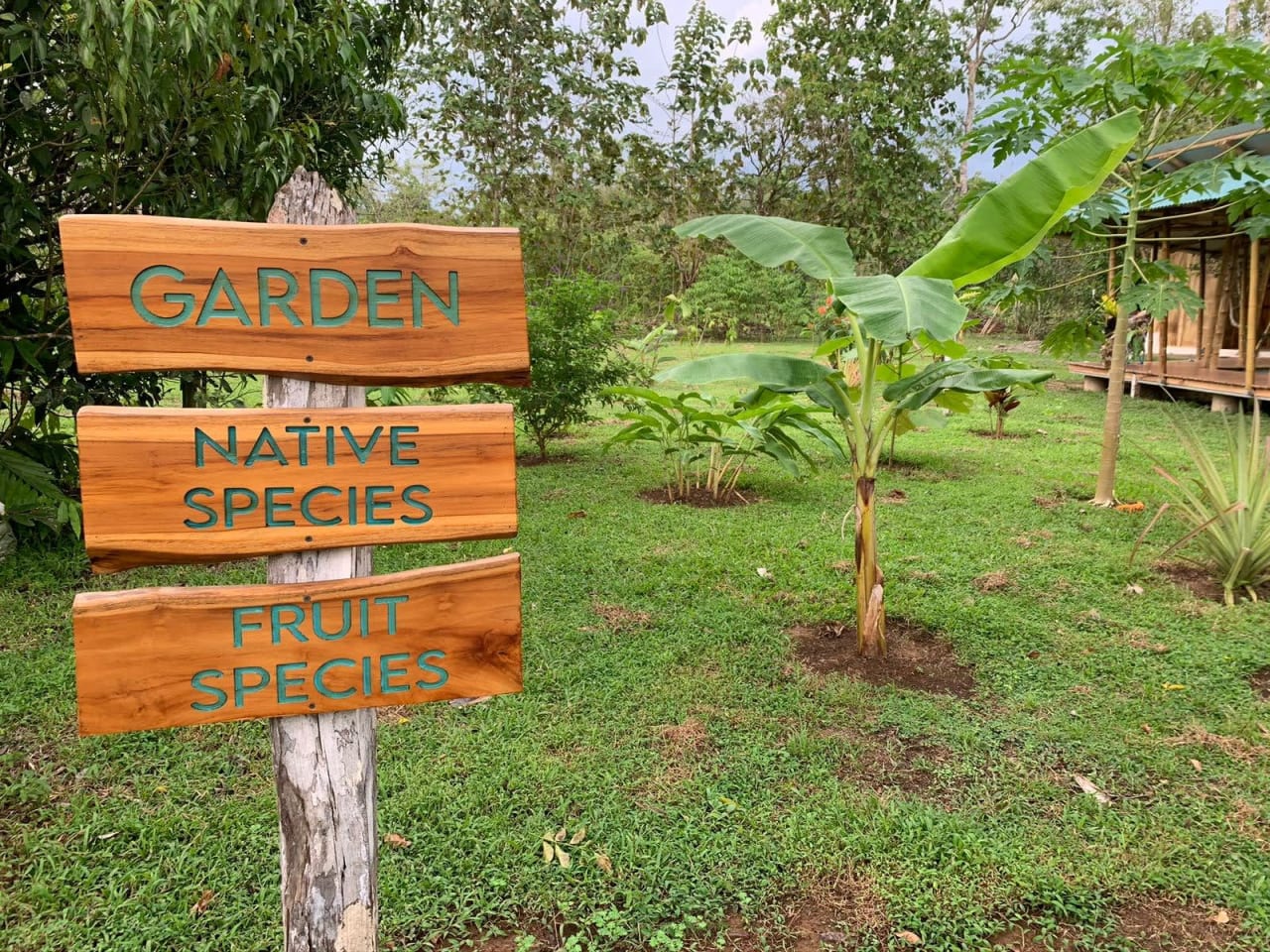 La Cotinga - 48 Hectares of Pristine Biodiverse Land