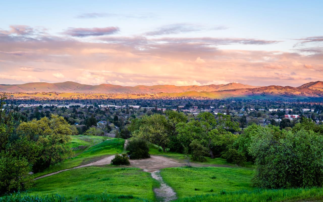 Walnut Creek  Neighborhood Guide