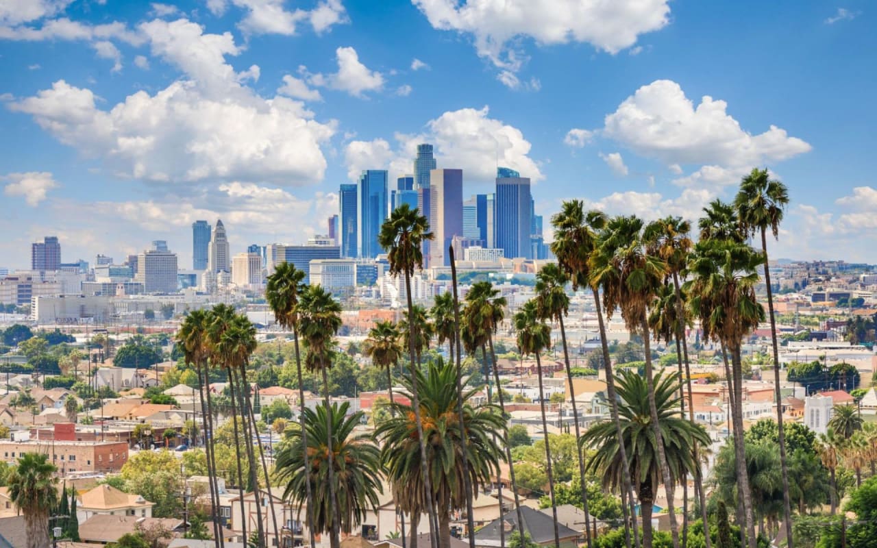 Navigating the Los Angeles Luxury Property Market: A Guide for New Investors