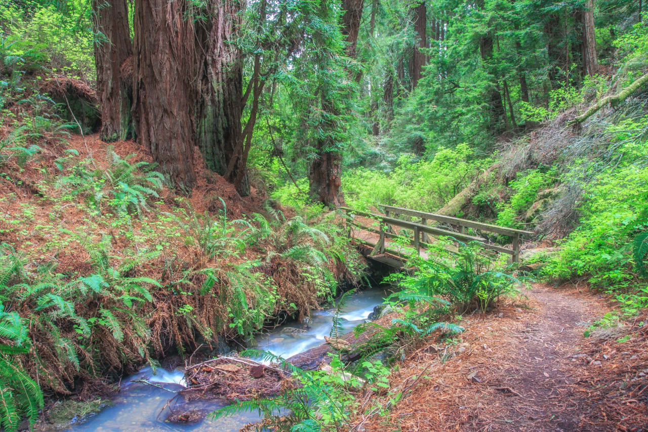 11 Hiking Trails Near San Rafael