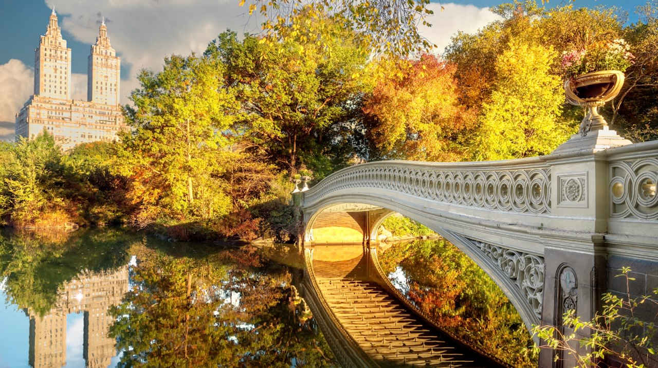 The 25 best things to do this fall in NYC