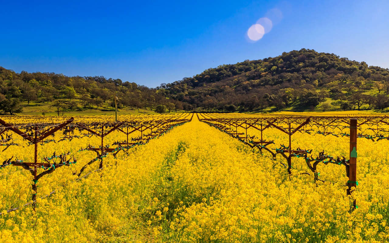 Yountville
