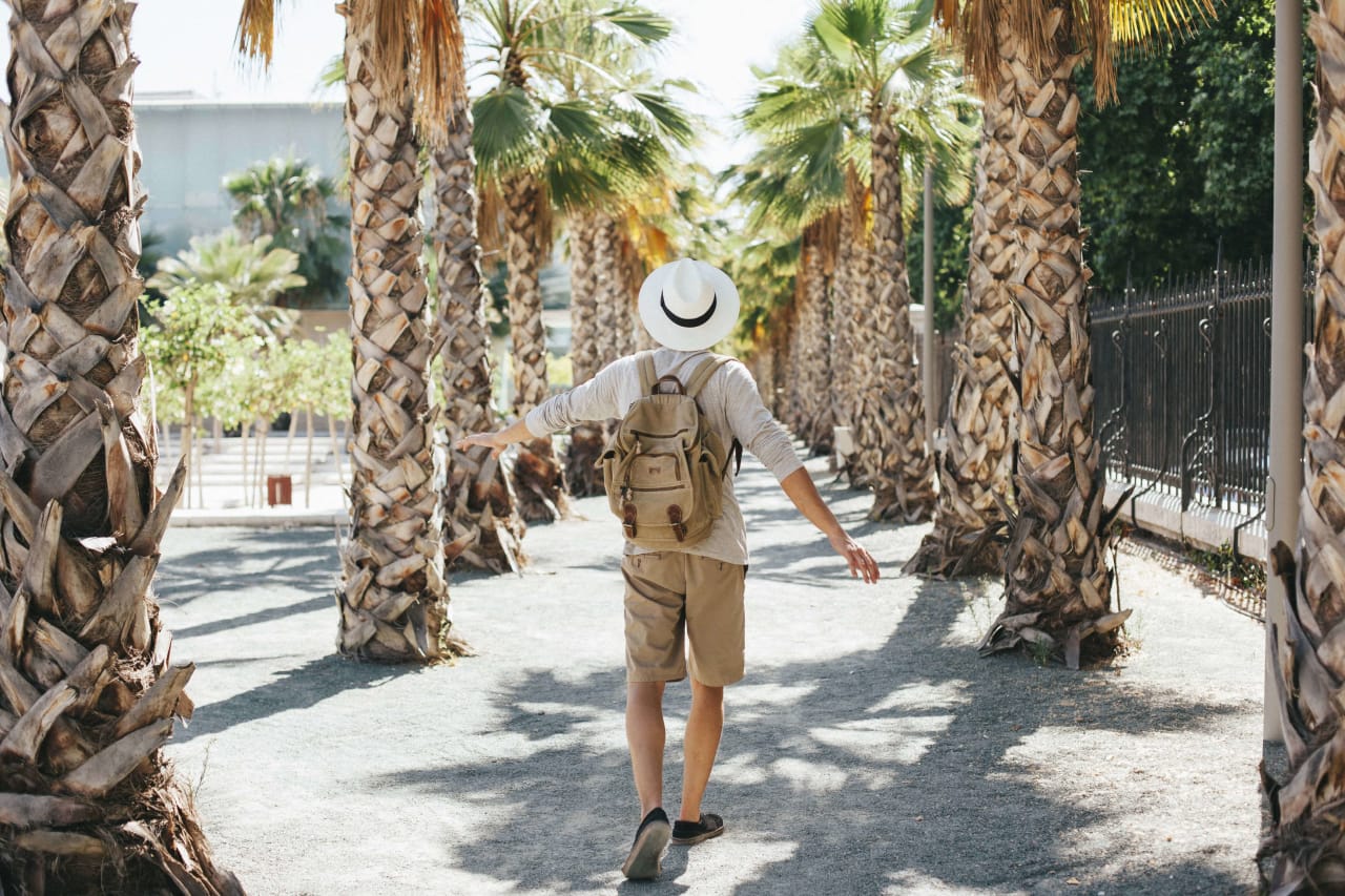 a man walking down a path between palm trees