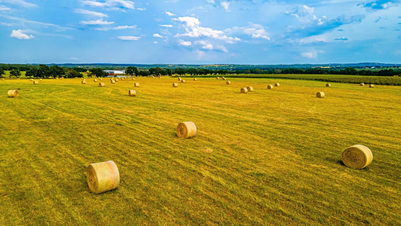 Featherstone Ranch