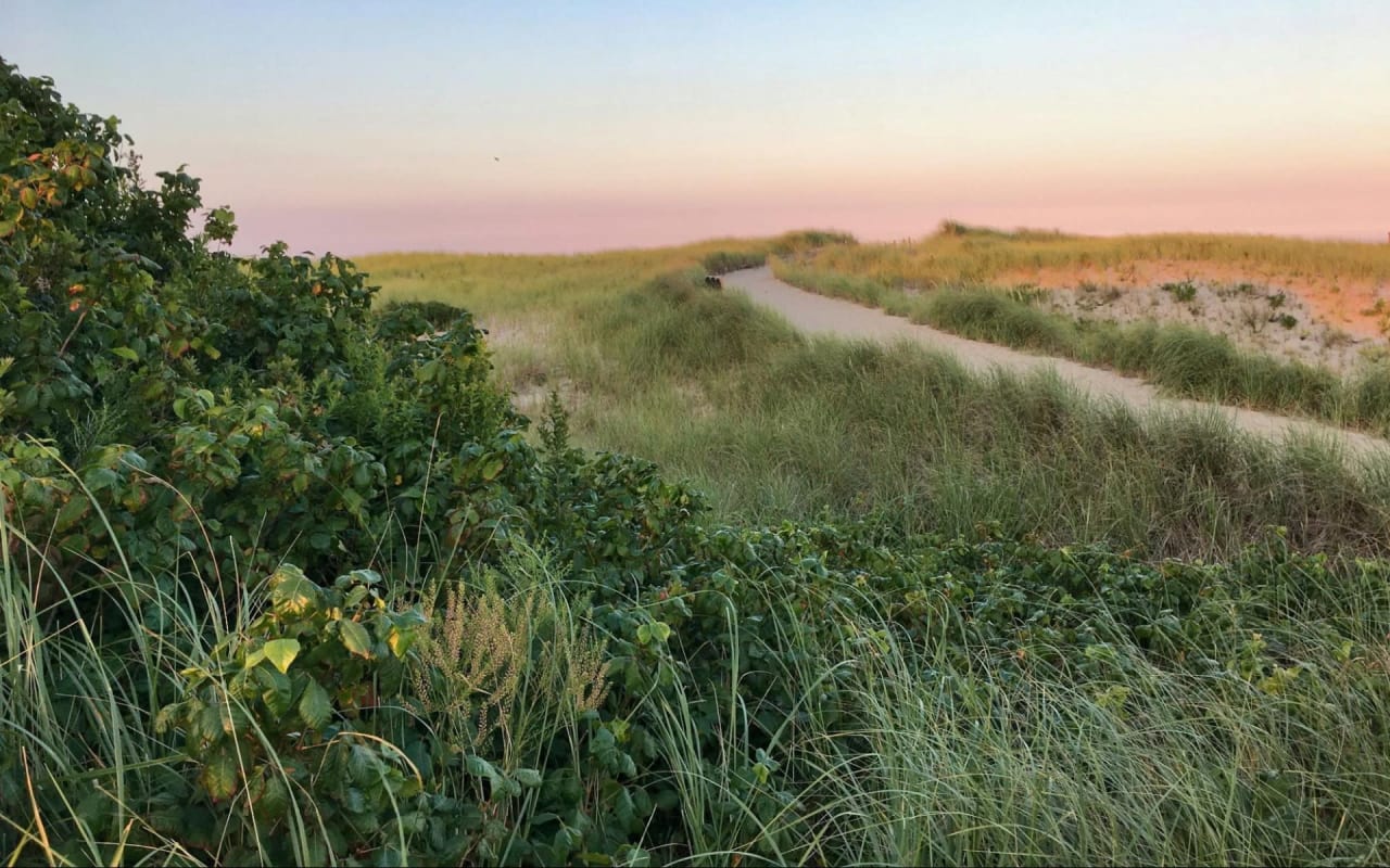 A Guide to Cape Cod, MA, Parks