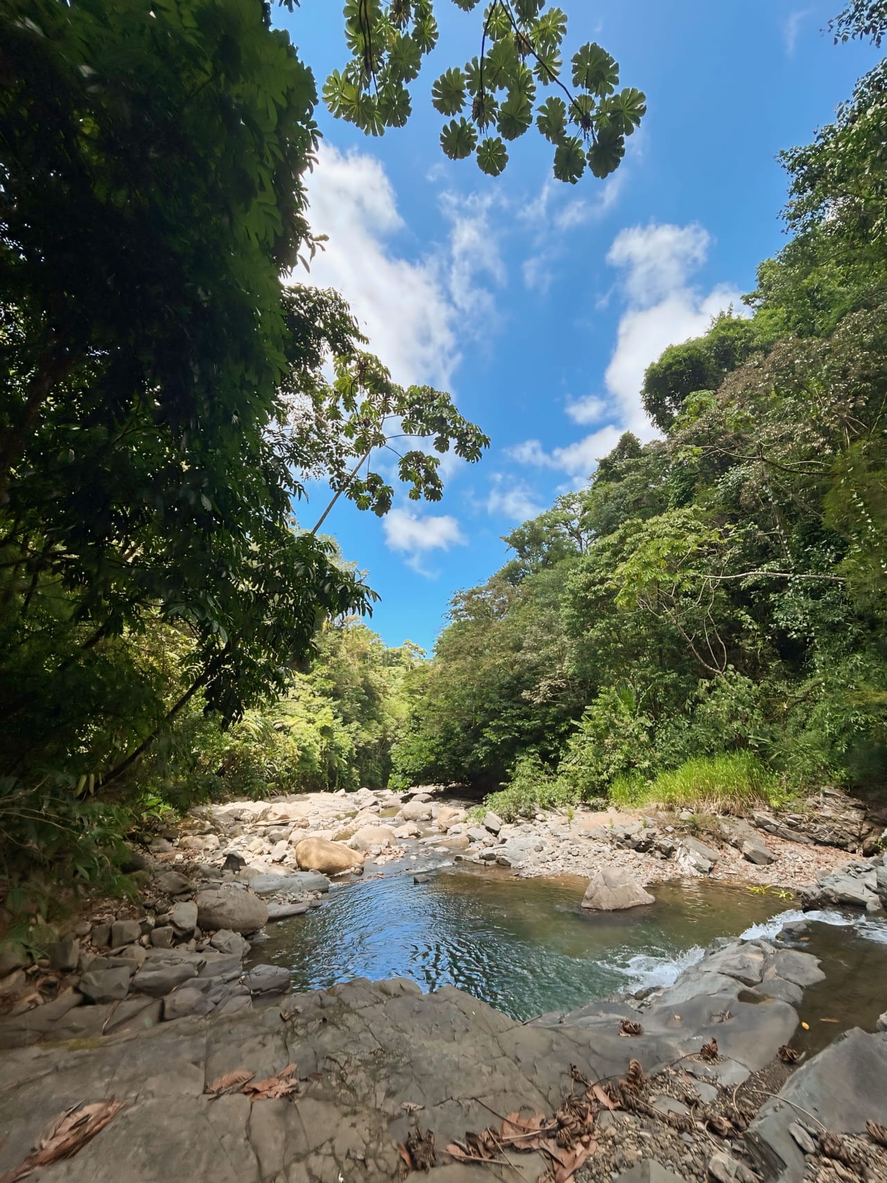 Finca Cerro del Tigre!   Over 20 Acres of Primary Forest and  Waterfalls. 