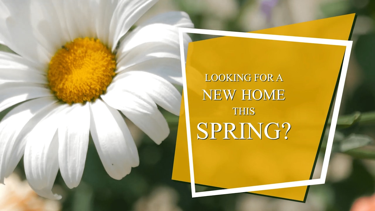 Rosanne Nitti Real Estate
