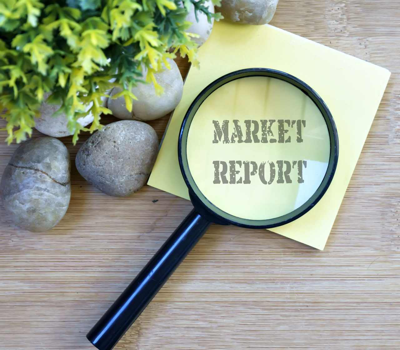 Douglas Elliman Market Reports