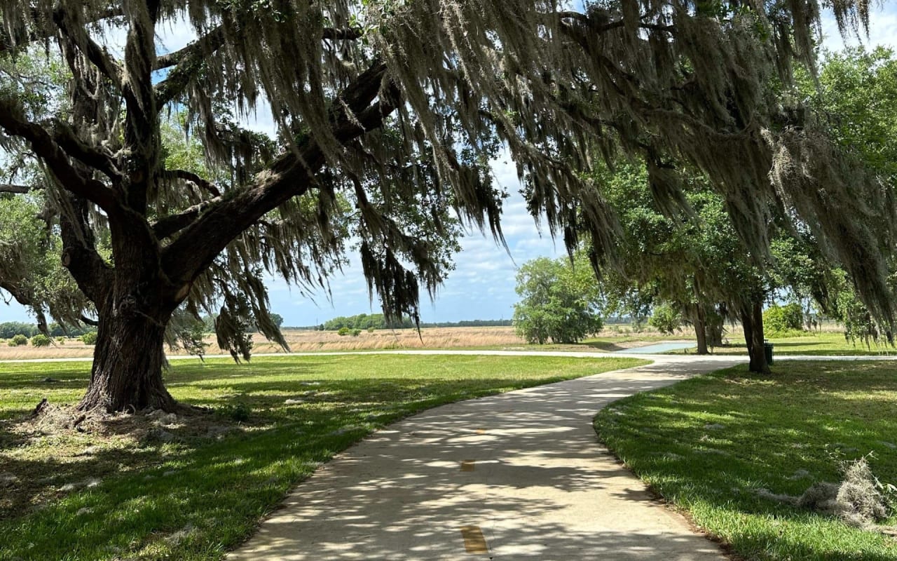 Rambling through Nature: Mirada Lagoon Trails, San Antonio, FL