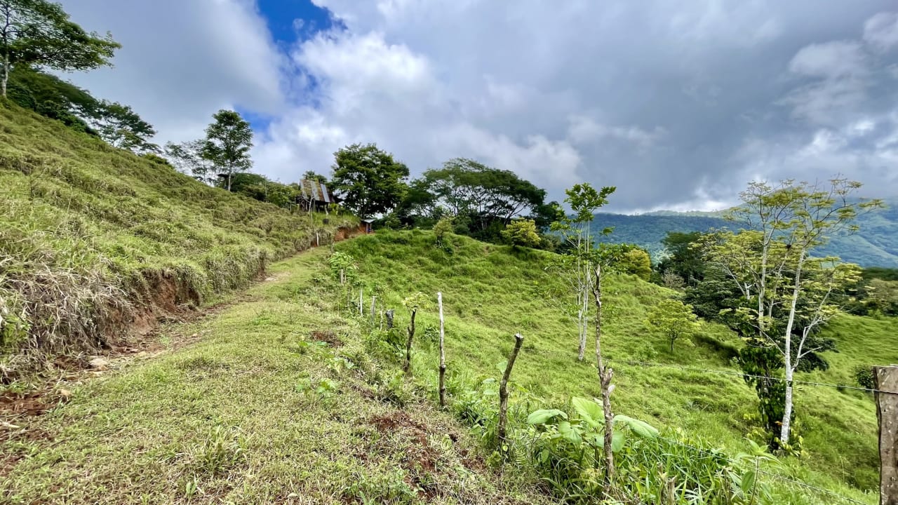 Over 123 Acres Farm in San Josecito De Morete, in Uvita Mountains