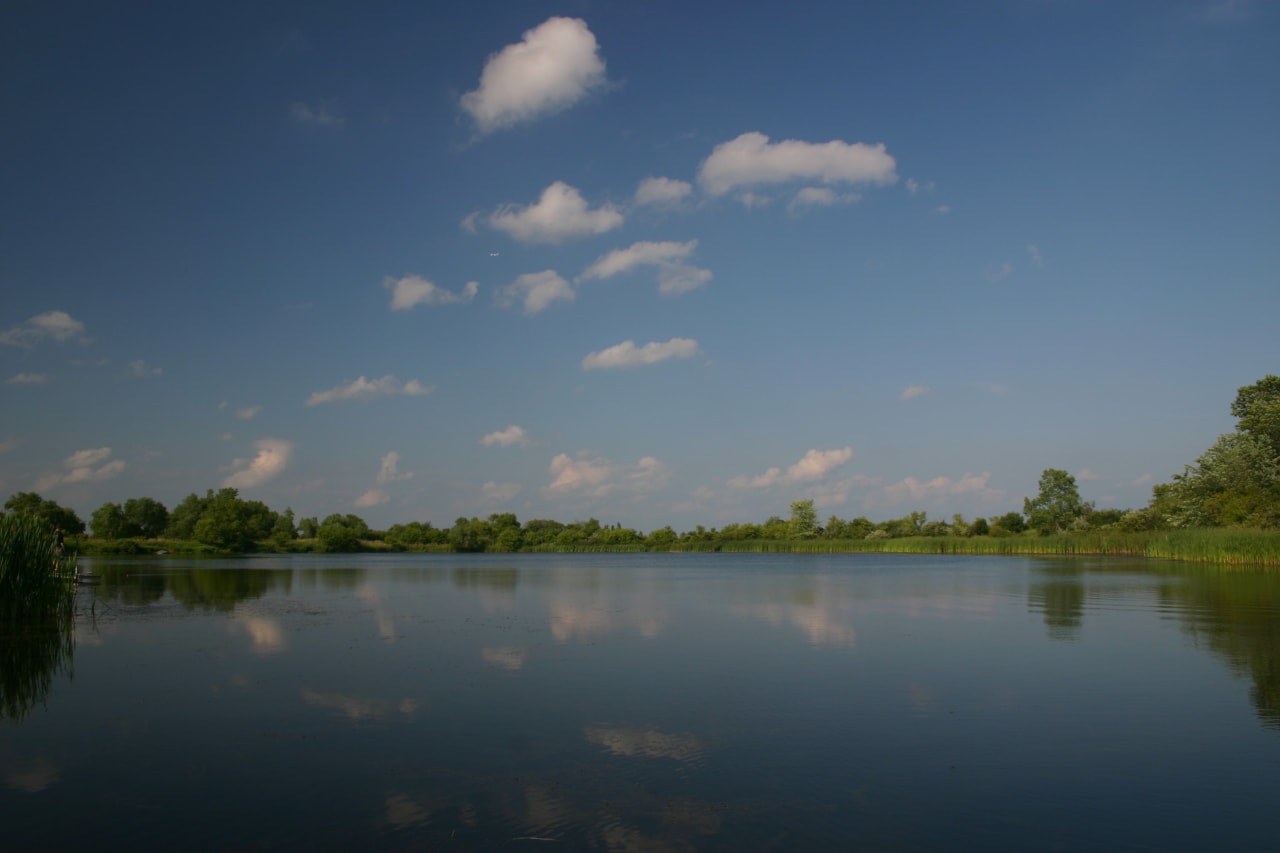 Lake Zurich and Hawthorn Woods