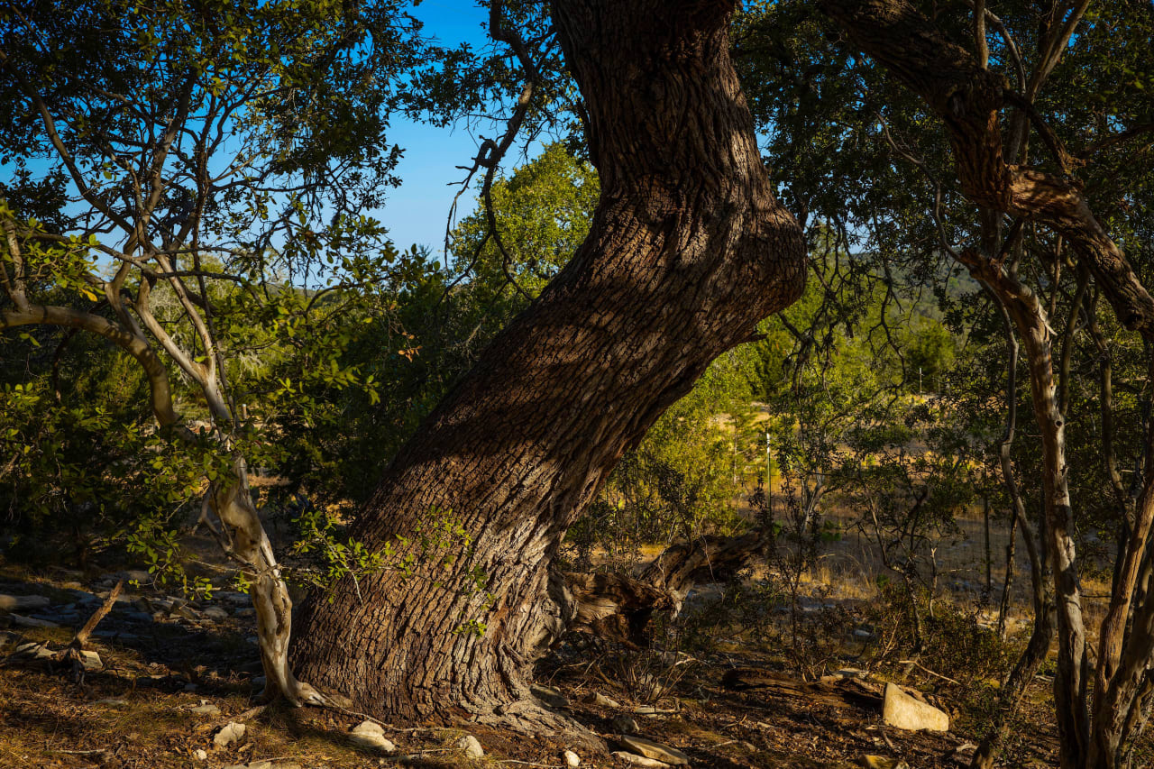 18 +/- acres | Comal County, Tx | SPRING BRANCH Ranchette