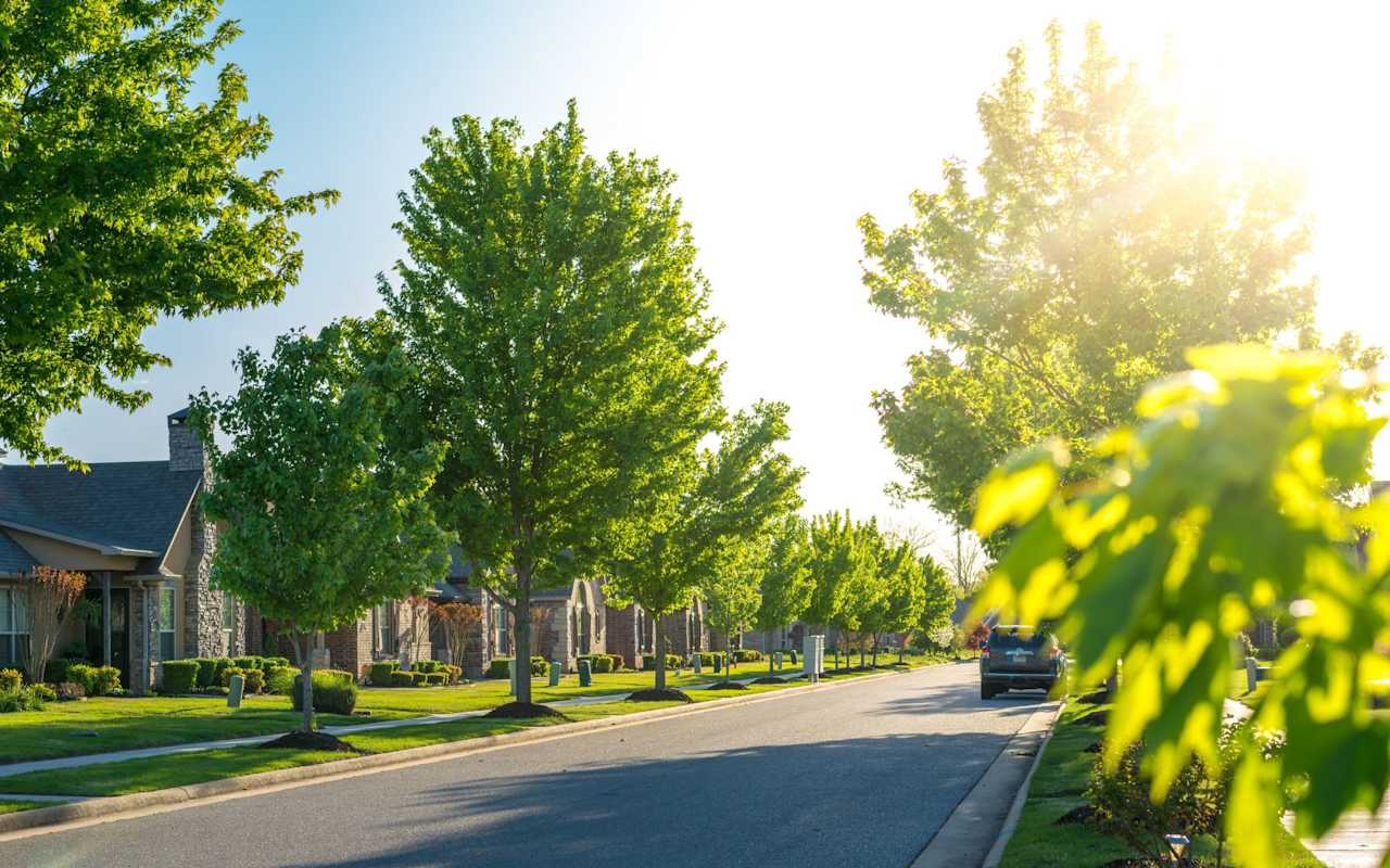 Explore Prime Real Estate in Jonesboro Live Oak Real Estate