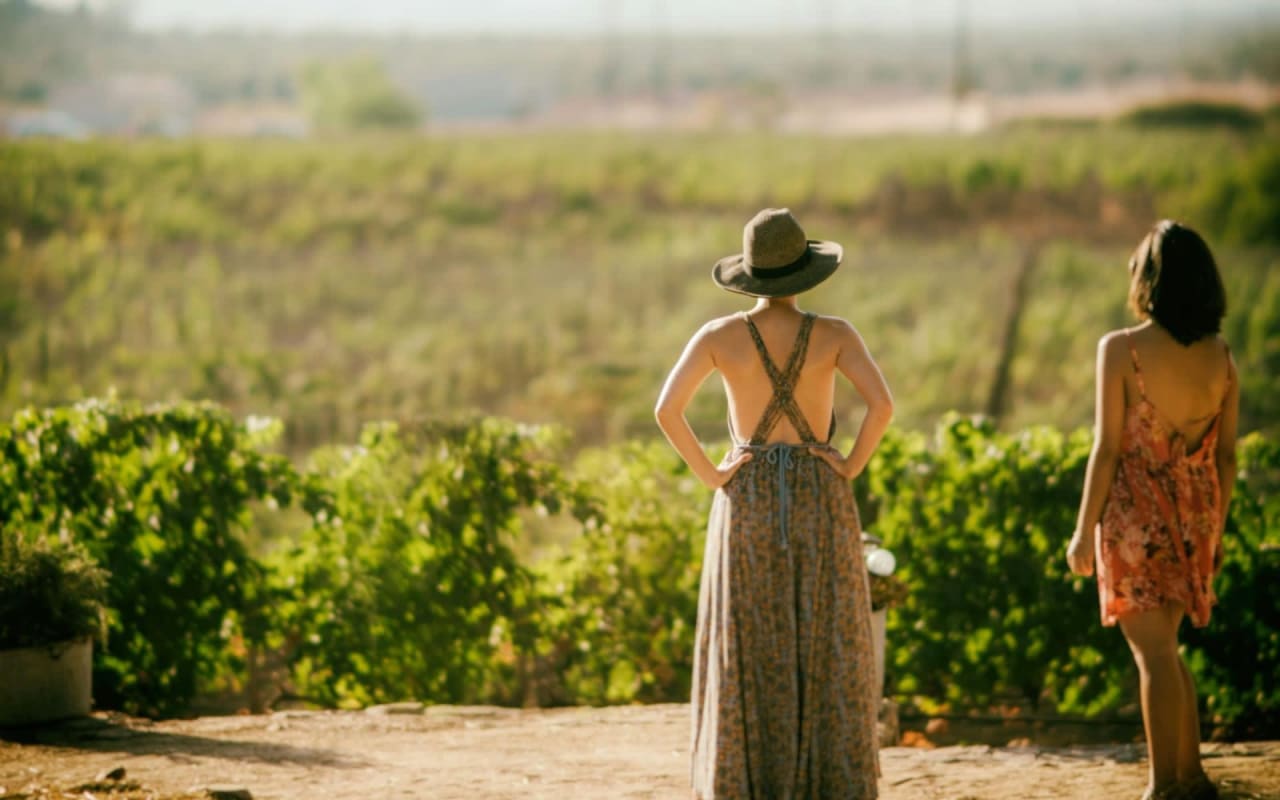 Day Trip Itinerary: Discovering Wine Country Gems