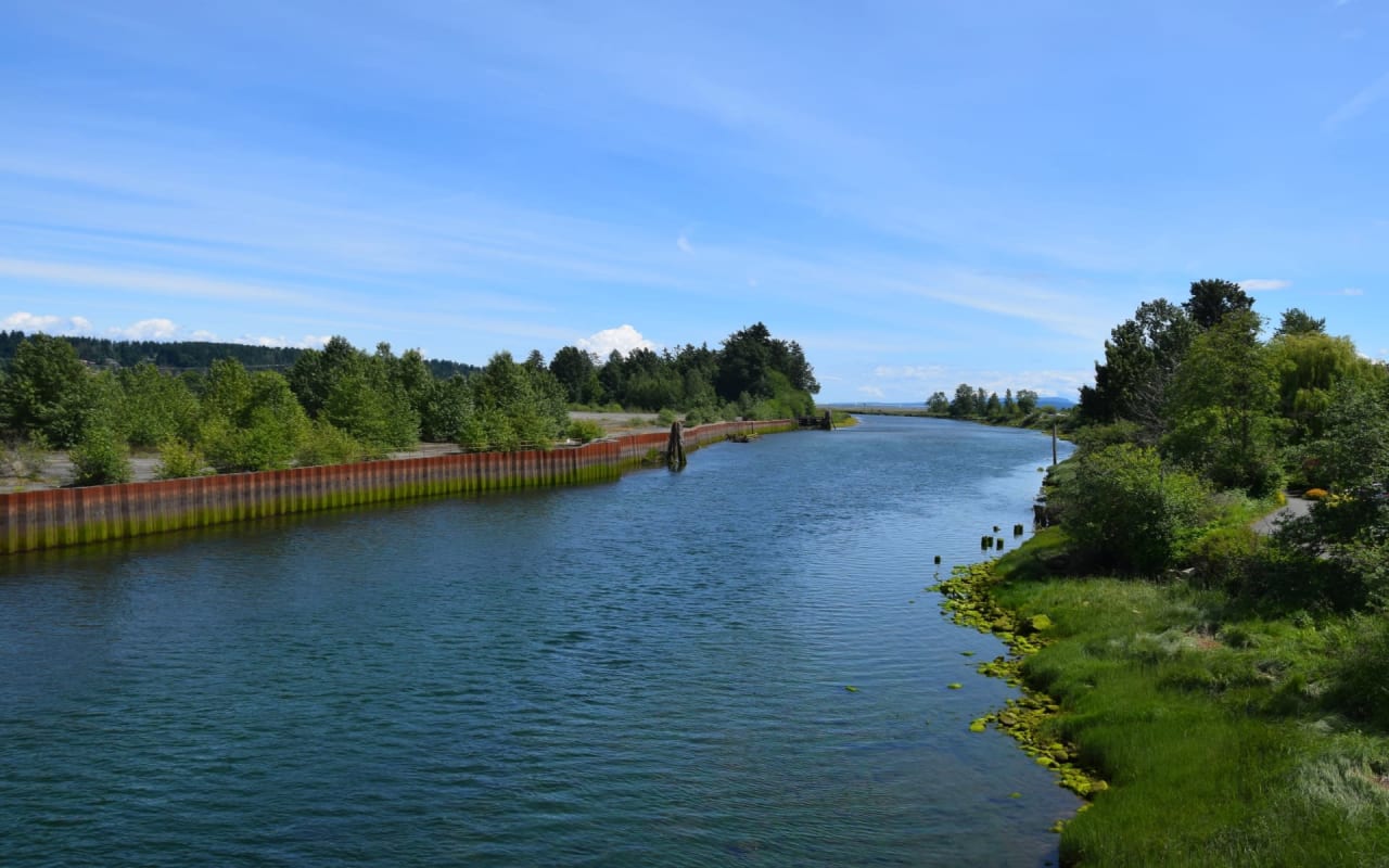 Stephanie Allardice Comox Valley Real Estate