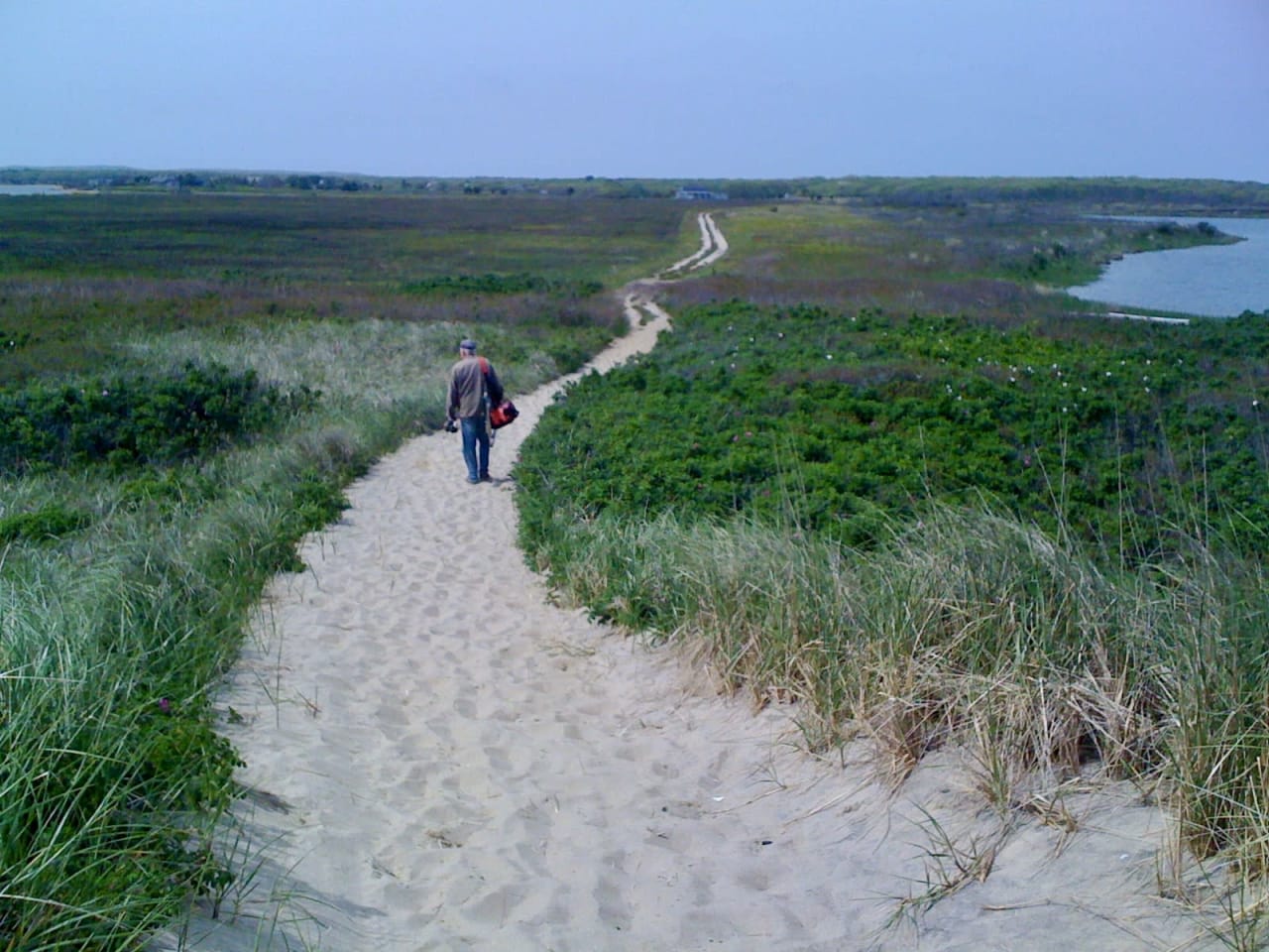  Spring Activities on Martha's Vineyard: A Guide to Making the Most of the Season