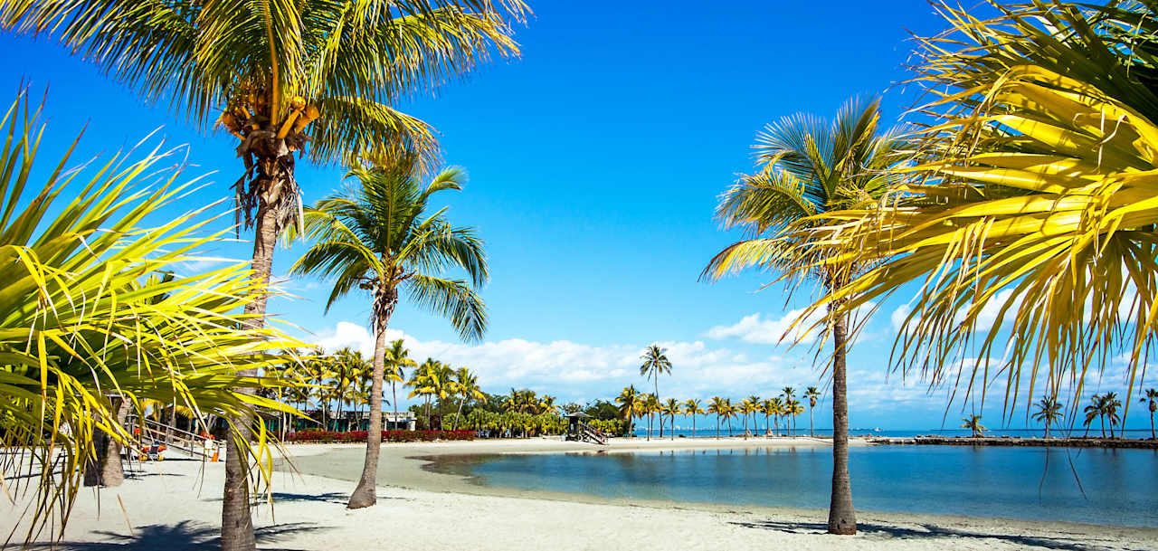 Palmetto Bay Neighborhood Guide