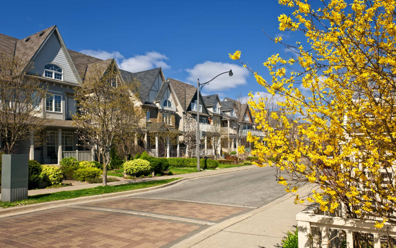 Giulia Gallina Toronto Real Estate Agent & Realtor