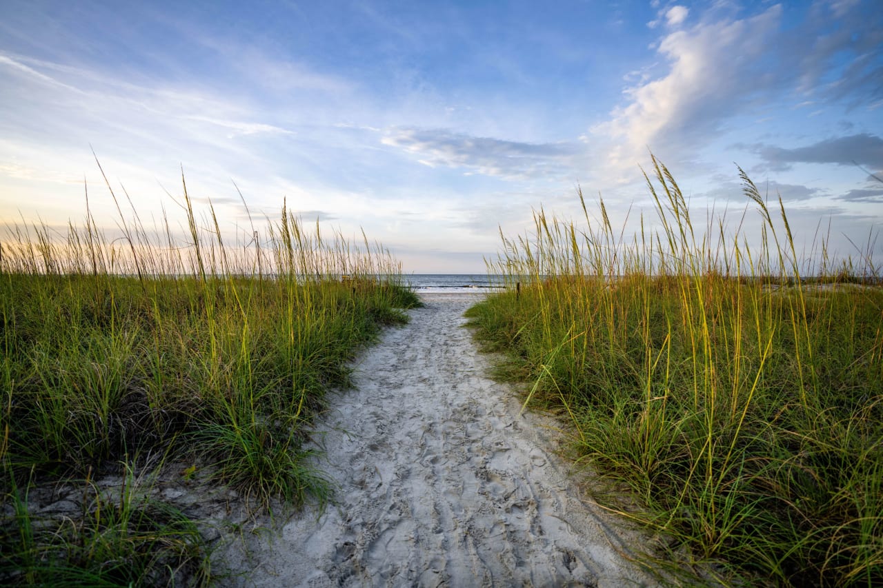 Forest Beach