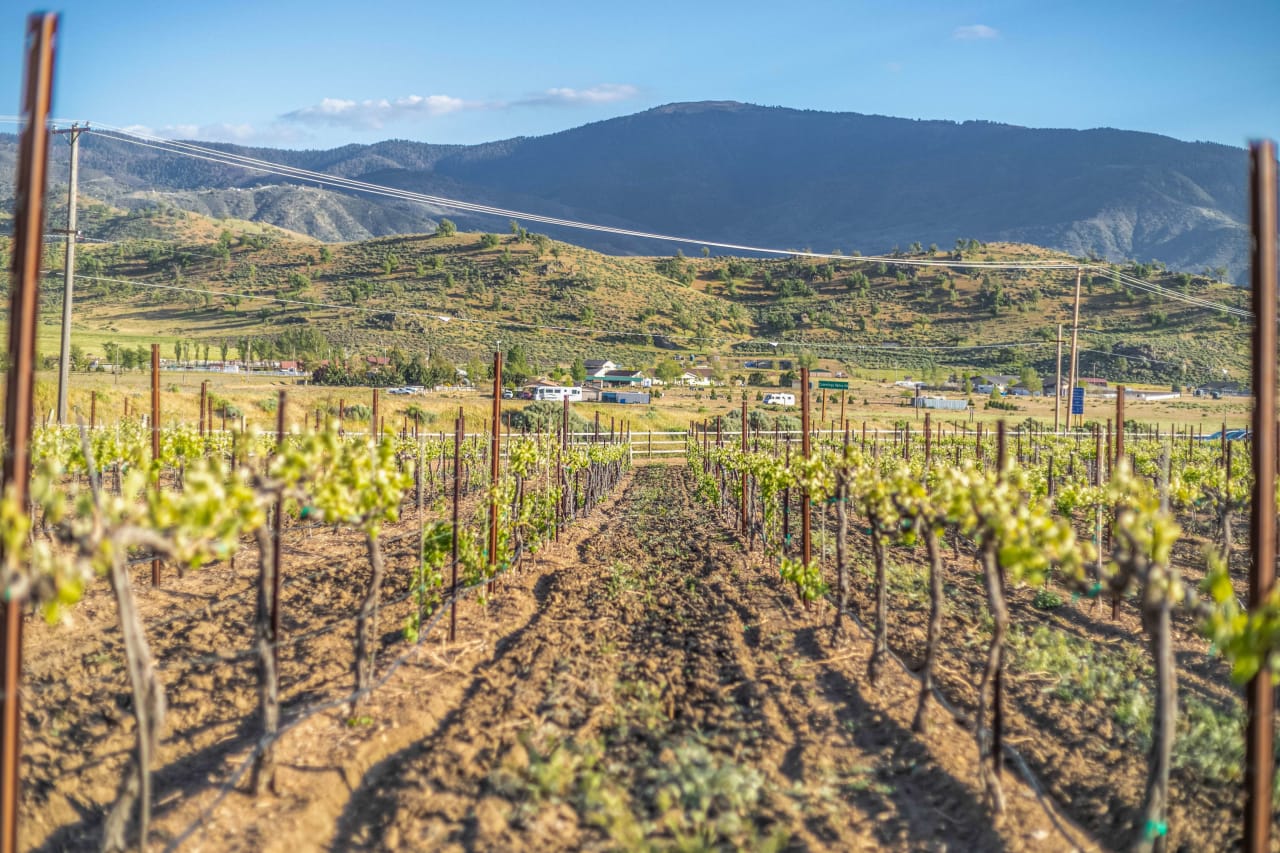 Come Experience Tehachapi Wineries