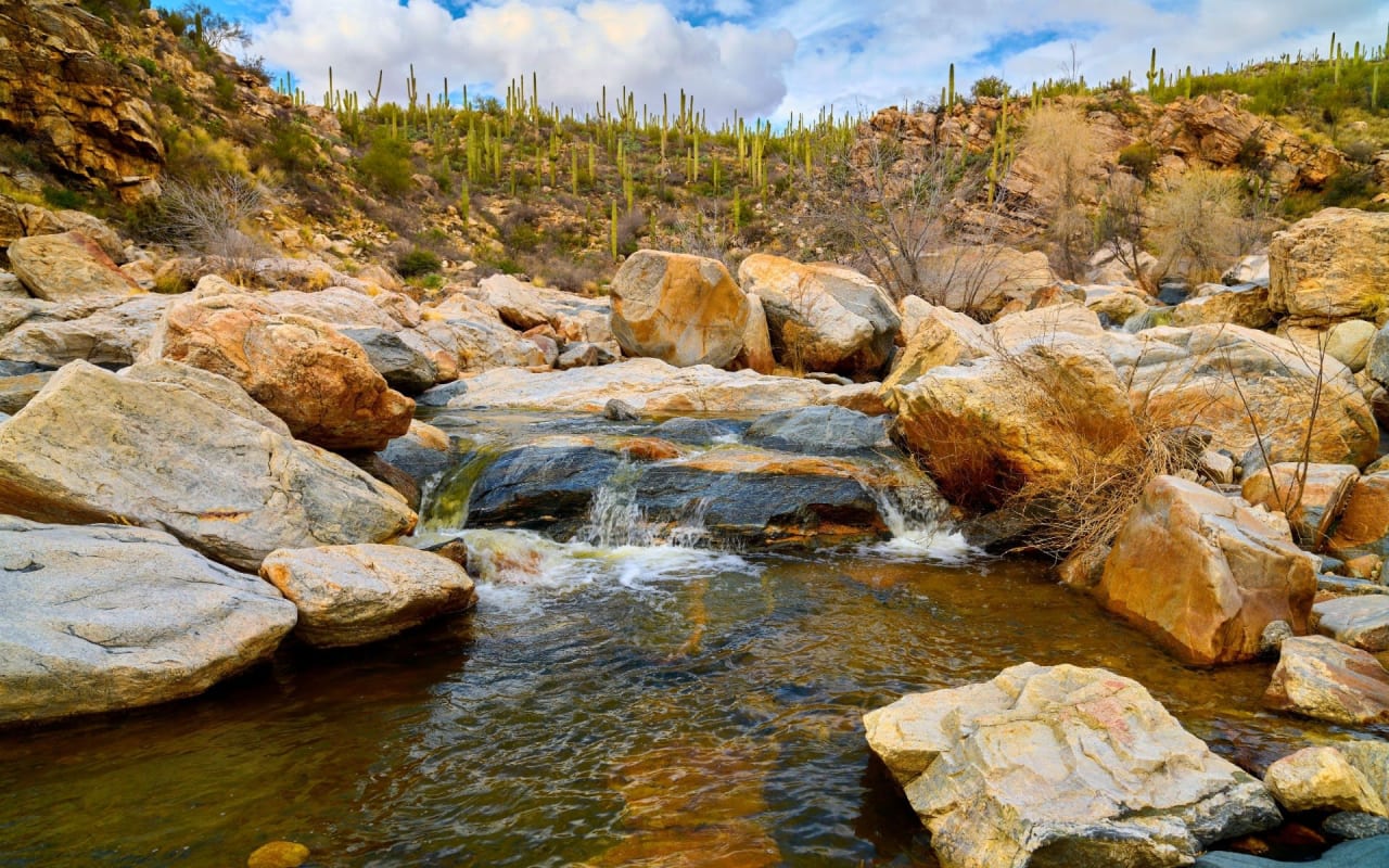 Tanque Verde Valley