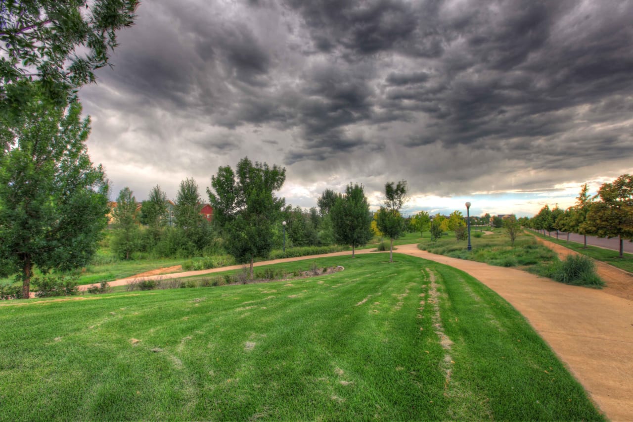 Central Park Real Estate Houses & Luxury Homes For Sale