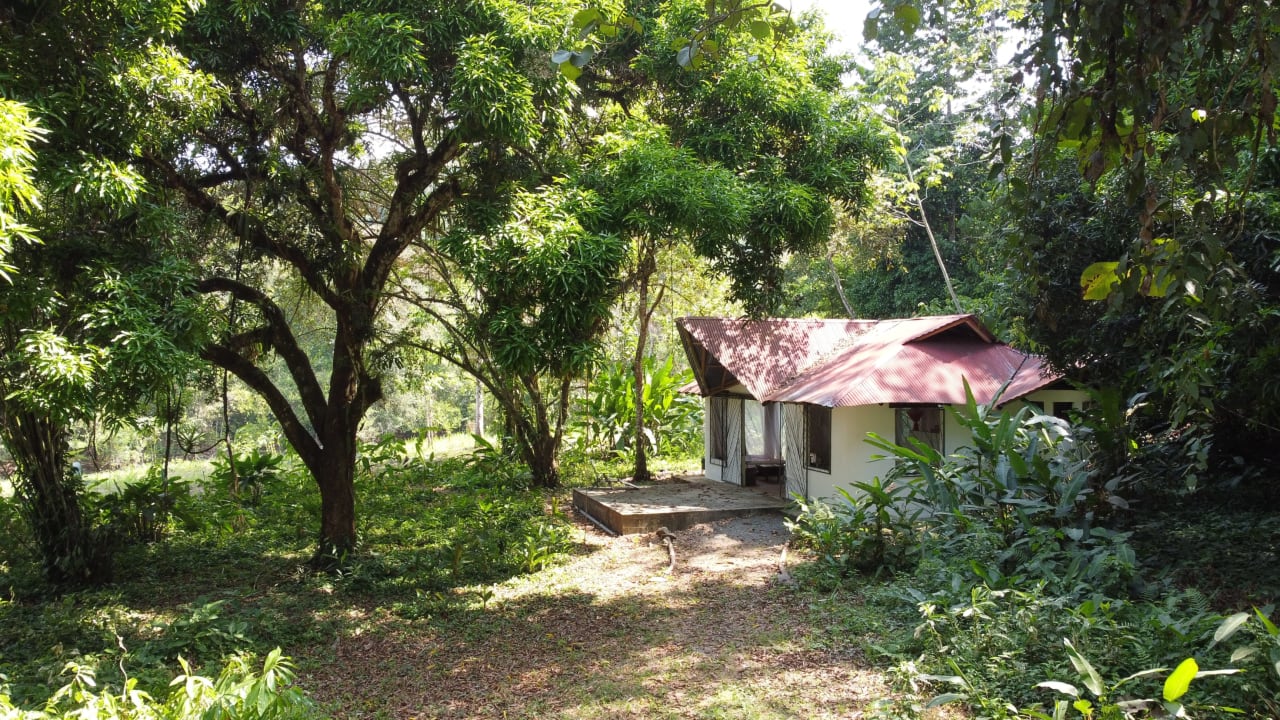 INVESTMENT OPPORTUNITY IN PLATANILLO – YOUR FIXER-UPPER DREAM WALKING DISTANCE TO NAUYACA WATERFALL