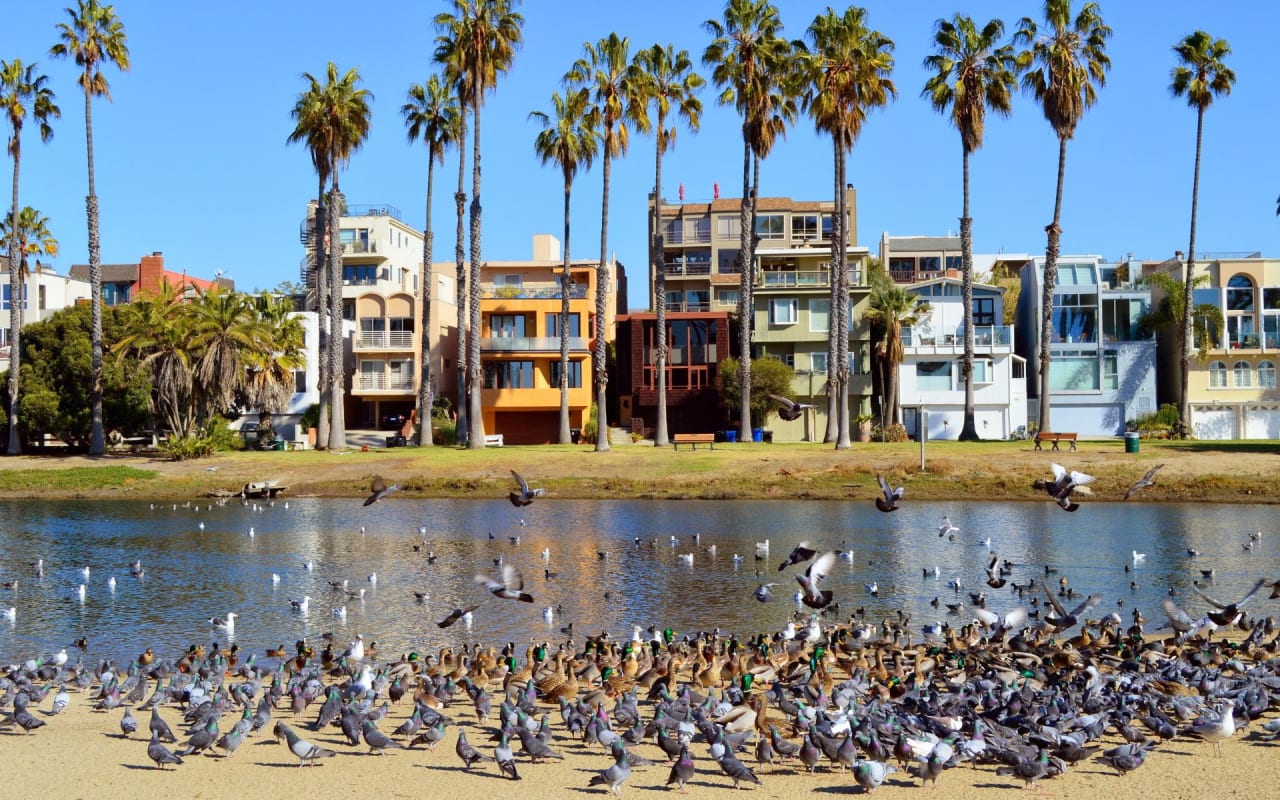 Bill Ruane El Segundo Real Estate Agent