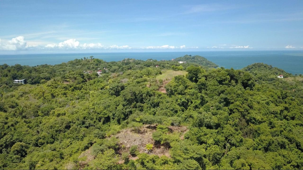 205 Acre Unsurpassed Ocean View Land, Manuel Antonio to Quepos