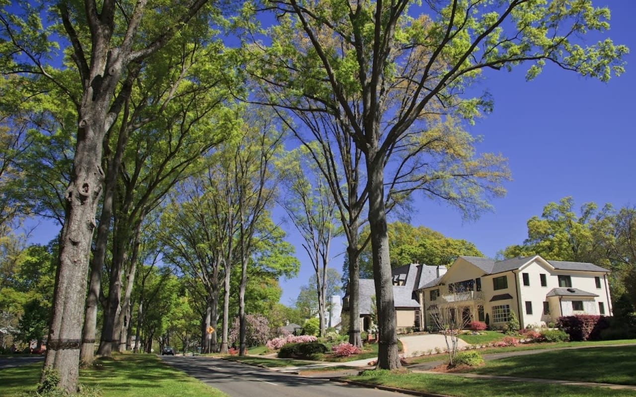 A Local's Guide on Things to Do in Weddington Blog Kathy Humbert