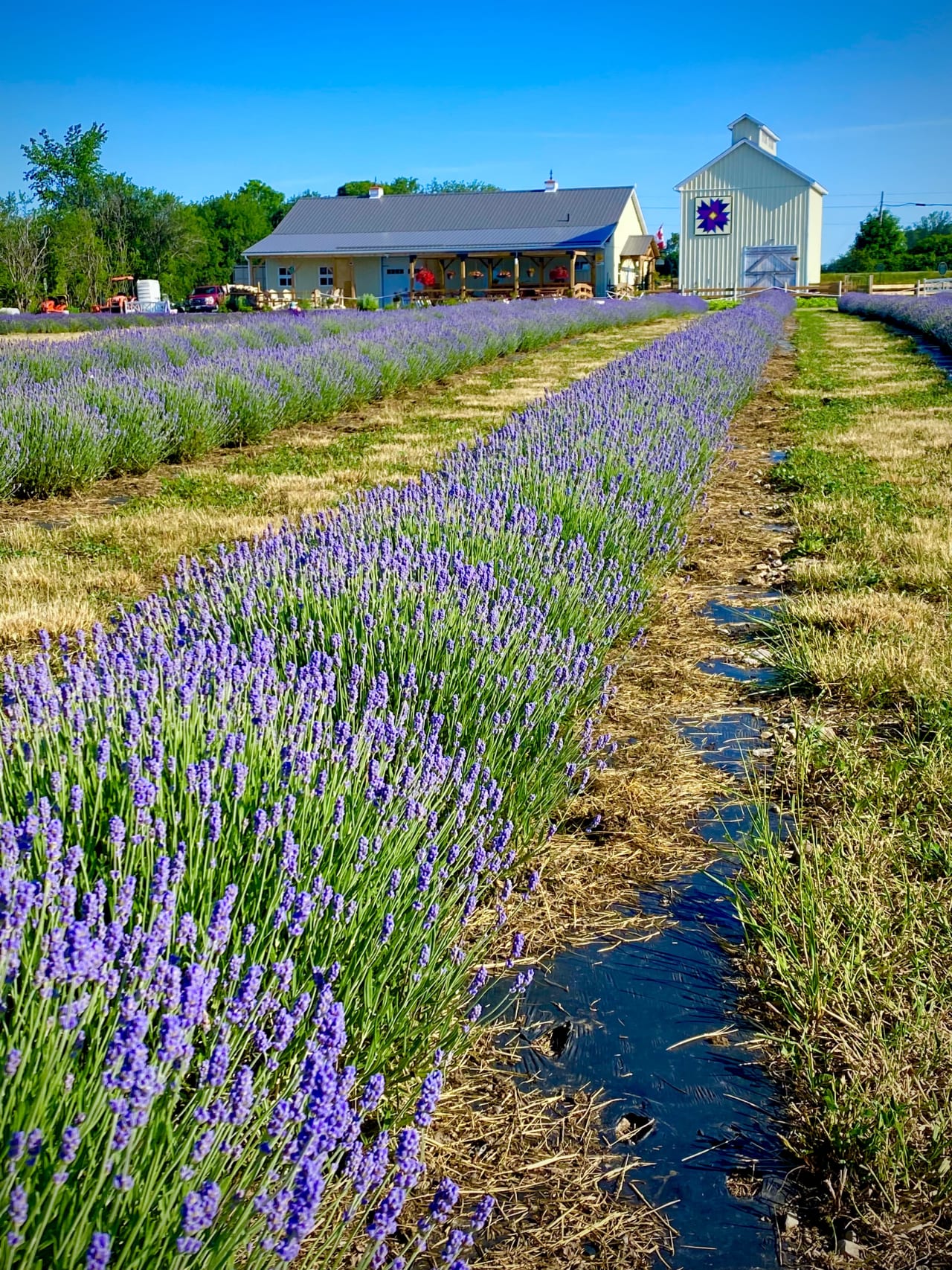 Millefleurs – Luxurious 5.6 Acre Estate In Prince Edward County