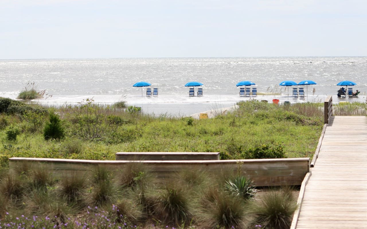 Isle of Palms | Wild Dunes