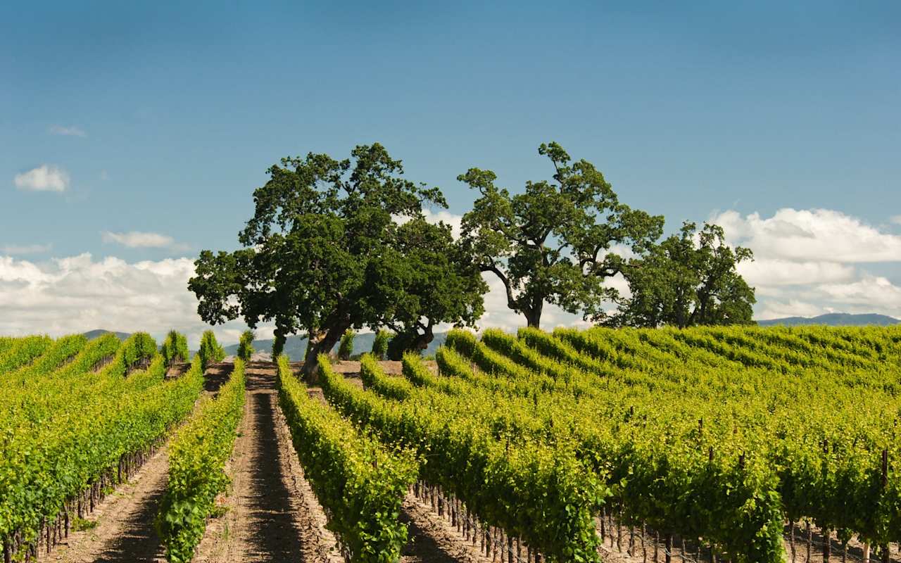 Paso Robles Real Estate